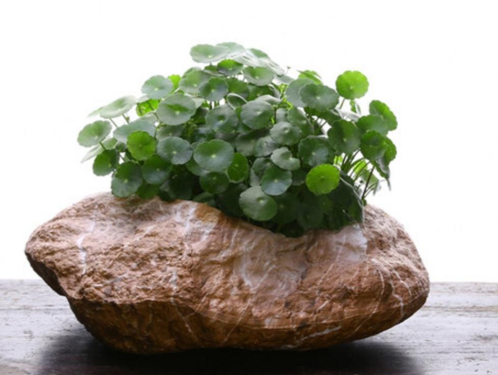 收舊石槽最新信息，舊物的新生與你的成長(zhǎng)之路探索