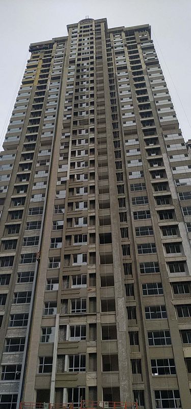 愛巢8090最新動態(tài)，擁抱自然，內(nèi)心寧靜之旅的探尋