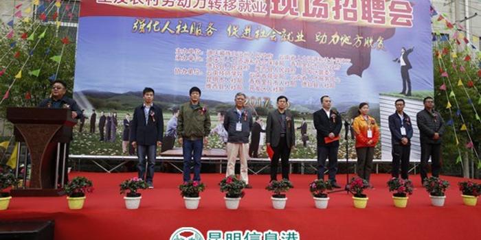 迪慶最新招聘信息全面概覽