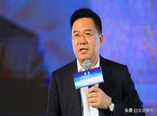 馬光遠最新言論聚焦經(jīng)濟展望未來發(fā)展前景