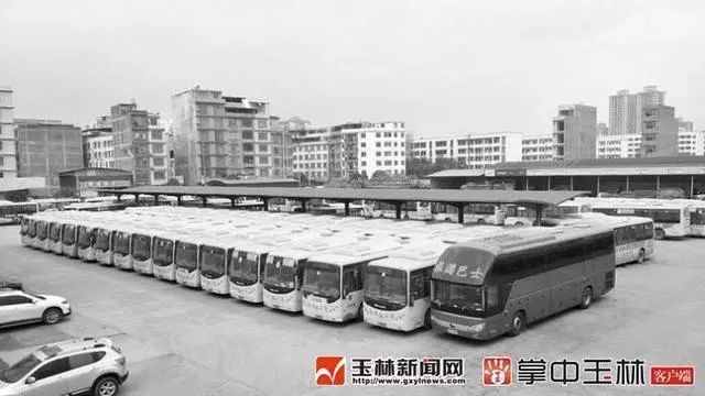 白溝最新司機(jī)招聘信息概覽