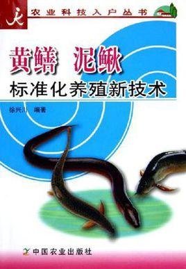 最新捕泥鰍鱔魚技術揭秘與小巷美食探秘之旅