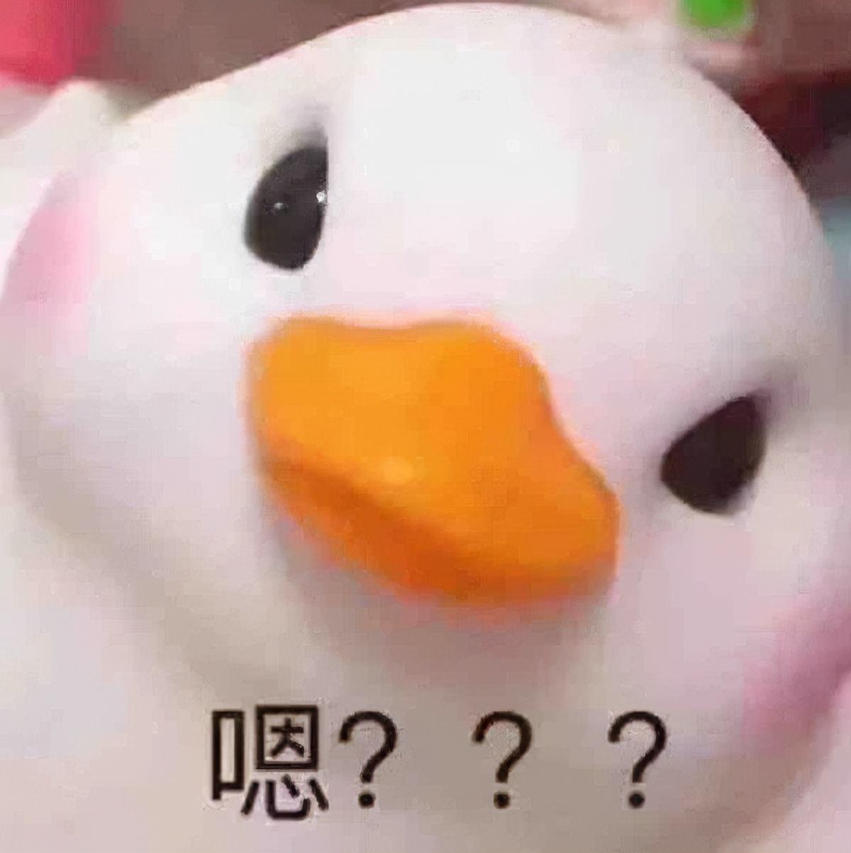 新聞資訊 第476頁