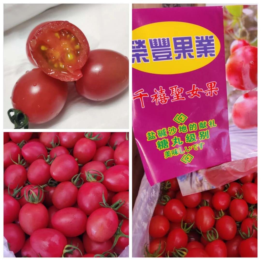 河南洋蔥最新價格動態(tài)，自信與成就感的背后故事