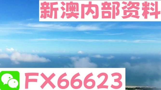 新澳2024最新資料大全,互動(dòng)性策略設(shè)計(jì)_硬核版9.318