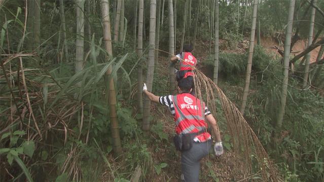 鄭源最新動(dòng)態(tài)，技能提升與任務(wù)完成指南揭秘