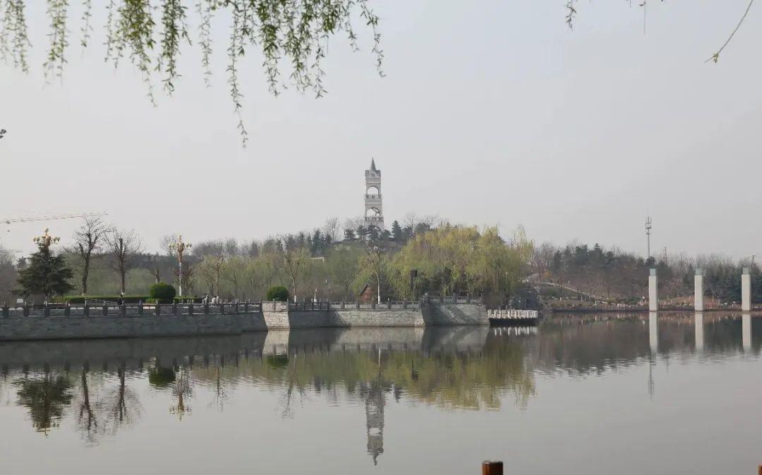 辛集濕地公園最新動(dòng)態(tài)，啟程探索自然美景之旅！