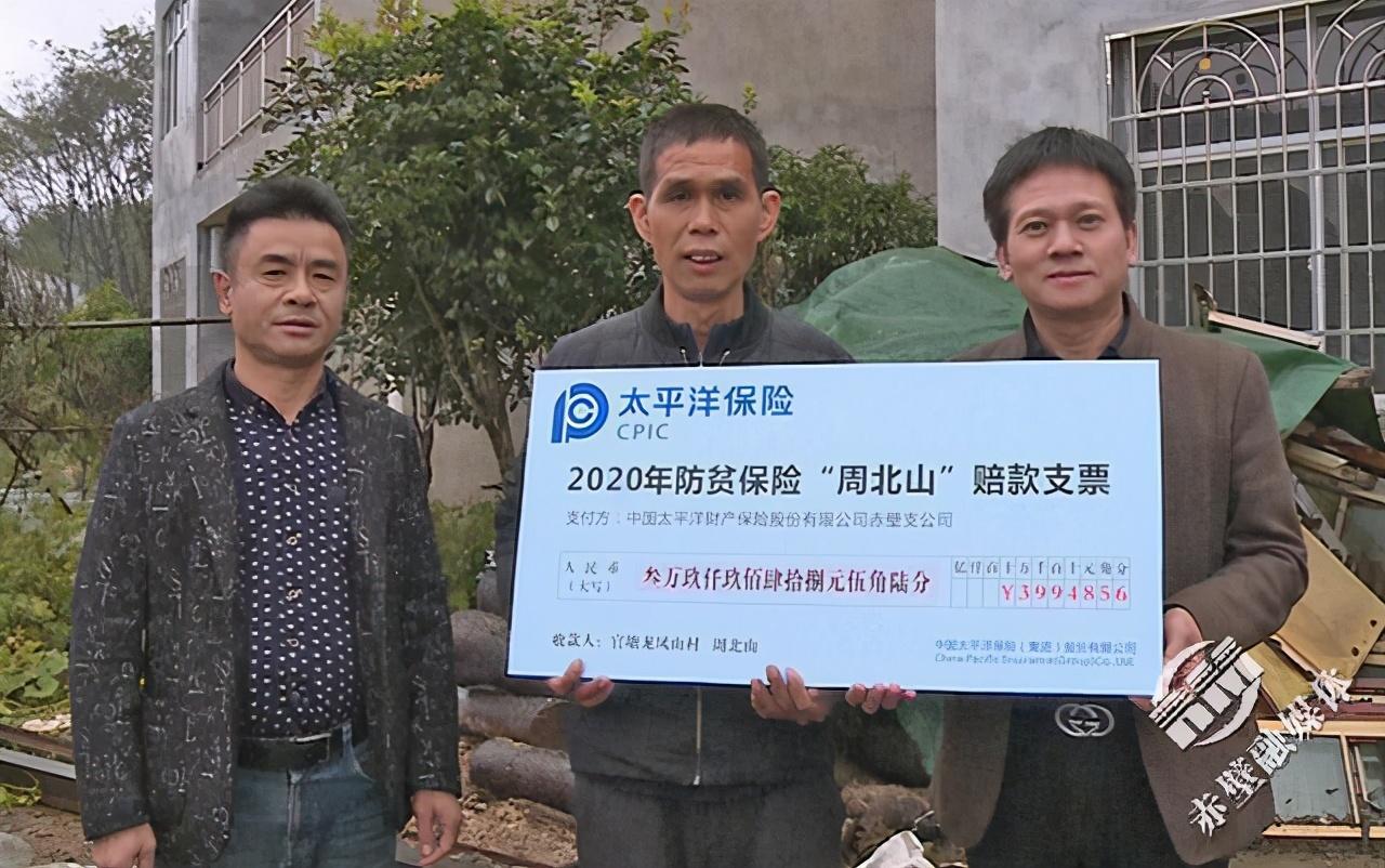 太平洋保險最新險種介紹概覽
