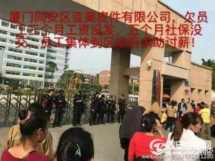 廈門亞美皮件最新動態(tài)及行業(yè)深度分析
