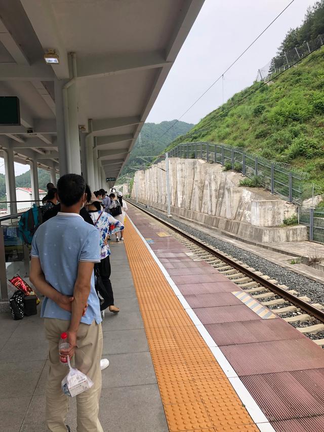 青川高鐵最新動態(tài)，全面指南與詳細(xì)步驟解讀