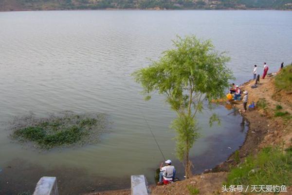 仙桃最新釣魚(yú)地點(diǎn)探索，自然之旅與內(nèi)心寧?kù)o港灣的追尋