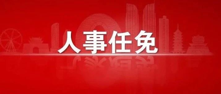 響水最新人事任免深度解析與觀點闡述