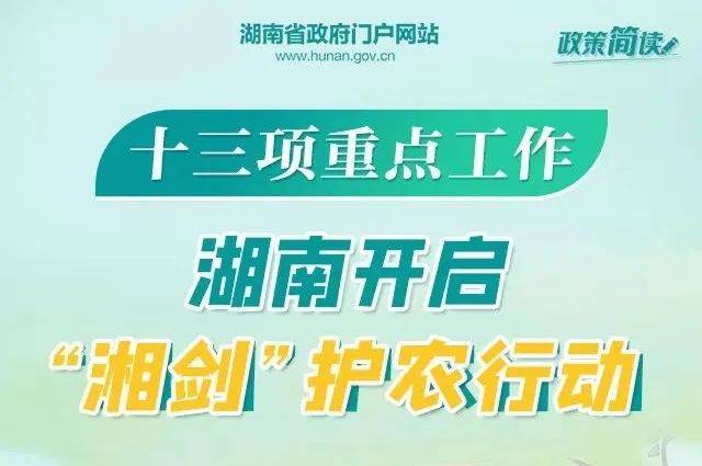 海石灣最新招聘，時代的脈搏與地方職業(yè)發(fā)展的機(jī)遇